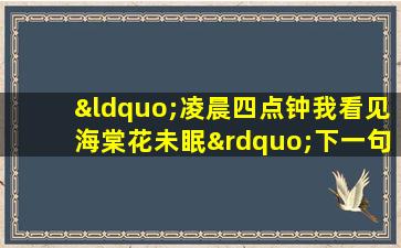 “凌晨四点钟我看见海棠花未眠”下一句