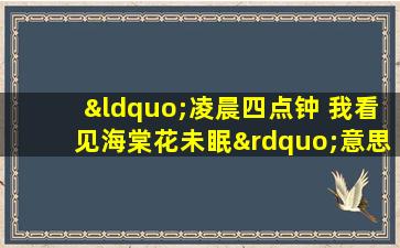 “凌晨四点钟 我看见海棠花未眠”意思