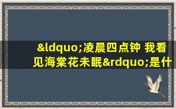 “凌晨四点钟 我看见海棠花未眠”是什么意思