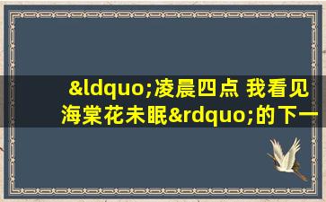 “凌晨四点 我看见海棠花未眠”的下一句是什么