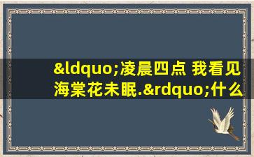 “凌晨四点 我看见海棠花未眠.”什么意思