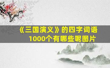 《三国演义》的四字词语1000个有哪些呢图片