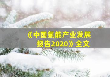 《中国氢能产业发展报告2020》全文