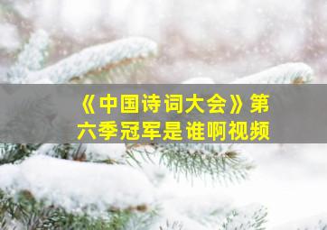 《中国诗词大会》第六季冠军是谁啊视频