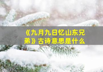 《九月九日忆山东兄弟》古诗意思是什么