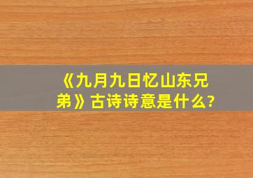 《九月九日忆山东兄弟》古诗诗意是什么?