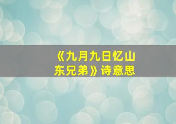 《九月九日忆山东兄弟》诗意思