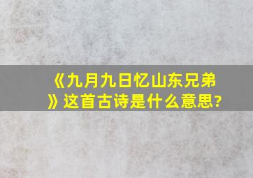 《九月九日忆山东兄弟》这首古诗是什么意思?