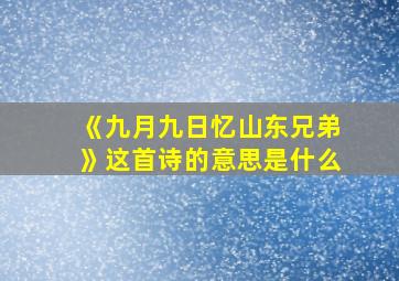 《九月九日忆山东兄弟》这首诗的意思是什么