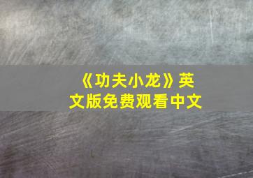 《功夫小龙》英文版免费观看中文