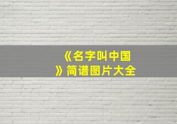 《名字叫中国》简谱图片大全