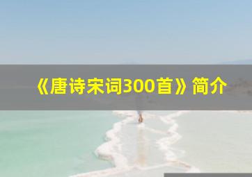 《唐诗宋词300首》简介