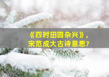 《四时田园杂兴》,宋范成大古诗意思?