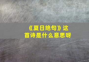 《夏日绝句》这首诗是什么意思呀