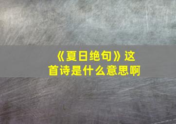 《夏日绝句》这首诗是什么意思啊