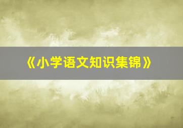 《小学语文知识集锦》