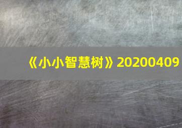 《小小智慧树》20200409