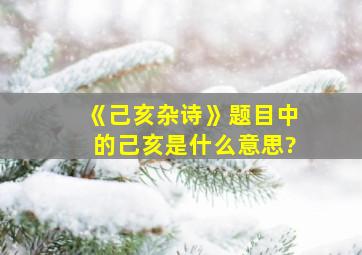 《己亥杂诗》题目中的己亥是什么意思?