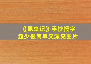 《昆虫记》手抄报字超少很简单又漂亮图片