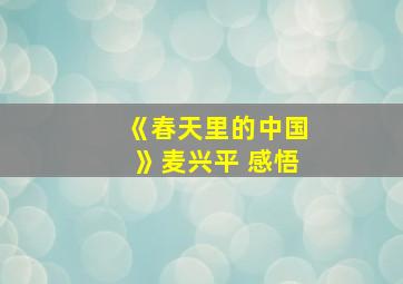 《春天里的中国》麦兴平 感悟