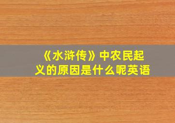 《水浒传》中农民起义的原因是什么呢英语