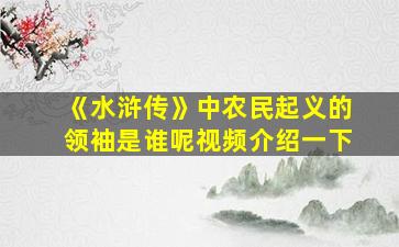 《水浒传》中农民起义的领袖是谁呢视频介绍一下