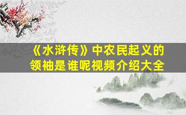 《水浒传》中农民起义的领袖是谁呢视频介绍大全