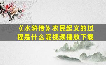 《水浒传》农民起义的过程是什么呢视频播放下载