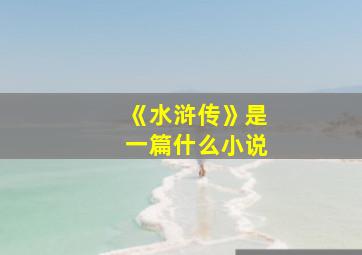 《水浒传》是一篇什么小说