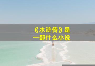 《水浒传》是一部什么小说