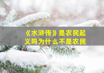 《水浒传》是农民起义吗为什么不是农民