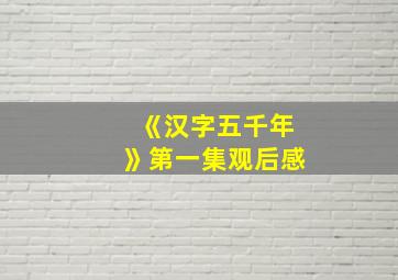 《汉字五千年》第一集观后感