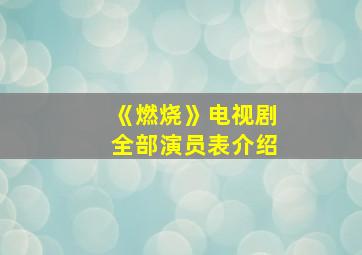 《燃烧》电视剧全部演员表介绍