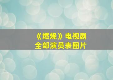 《燃烧》电视剧全部演员表图片