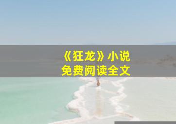 《狂龙》小说免费阅读全文