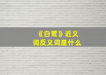 《白鹭》近义词反义词是什么