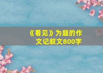 《看见》为题的作文记叙文800字