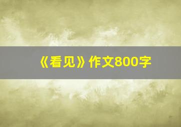 《看见》作文800字