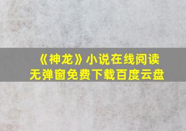 《神龙》小说在线阅读无弹窗免费下载百度云盘