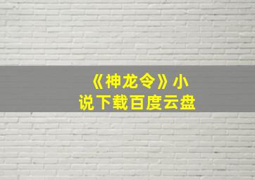 《神龙令》小说下载百度云盘