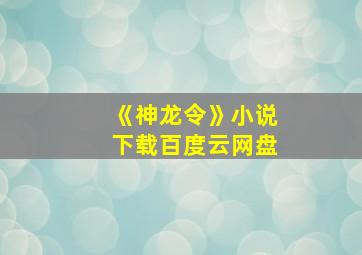 《神龙令》小说下载百度云网盘