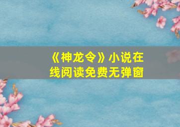 《神龙令》小说在线阅读免费无弹窗