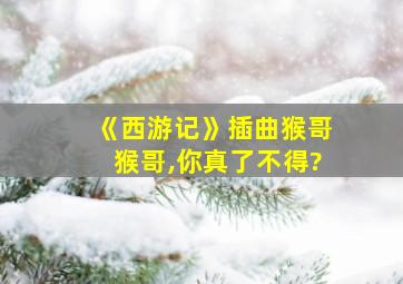 《西游记》插曲猴哥猴哥,你真了不得?