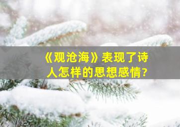 《观沧海》表现了诗人怎样的思想感情?