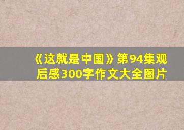 《这就是中国》第94集观后感300字作文大全图片