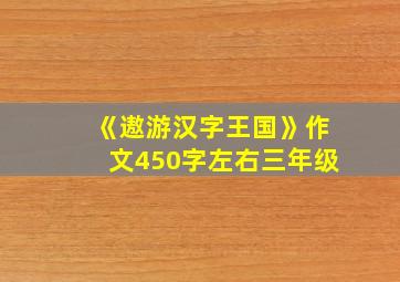 《遨游汉字王国》作文450字左右三年级