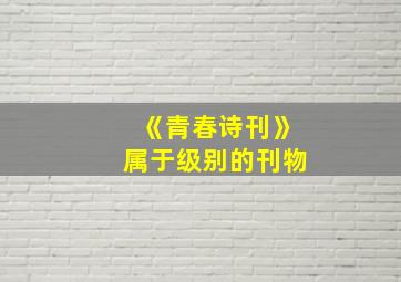 《青春诗刊》属于级别的刊物