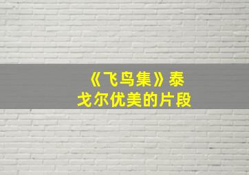 《飞鸟集》泰戈尔优美的片段