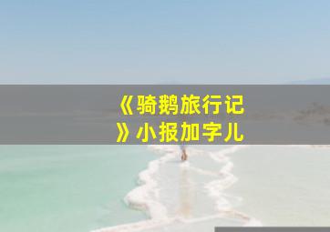 《骑鹅旅行记》小报加字儿