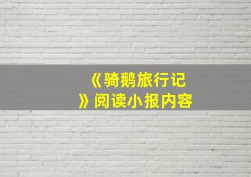 《骑鹅旅行记》阅读小报内容